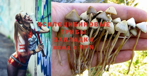 a pvp Горно-Алтайск
