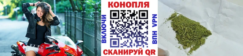 Бошки марихуана Ganja  Купить закладки  Нижнеудинск 